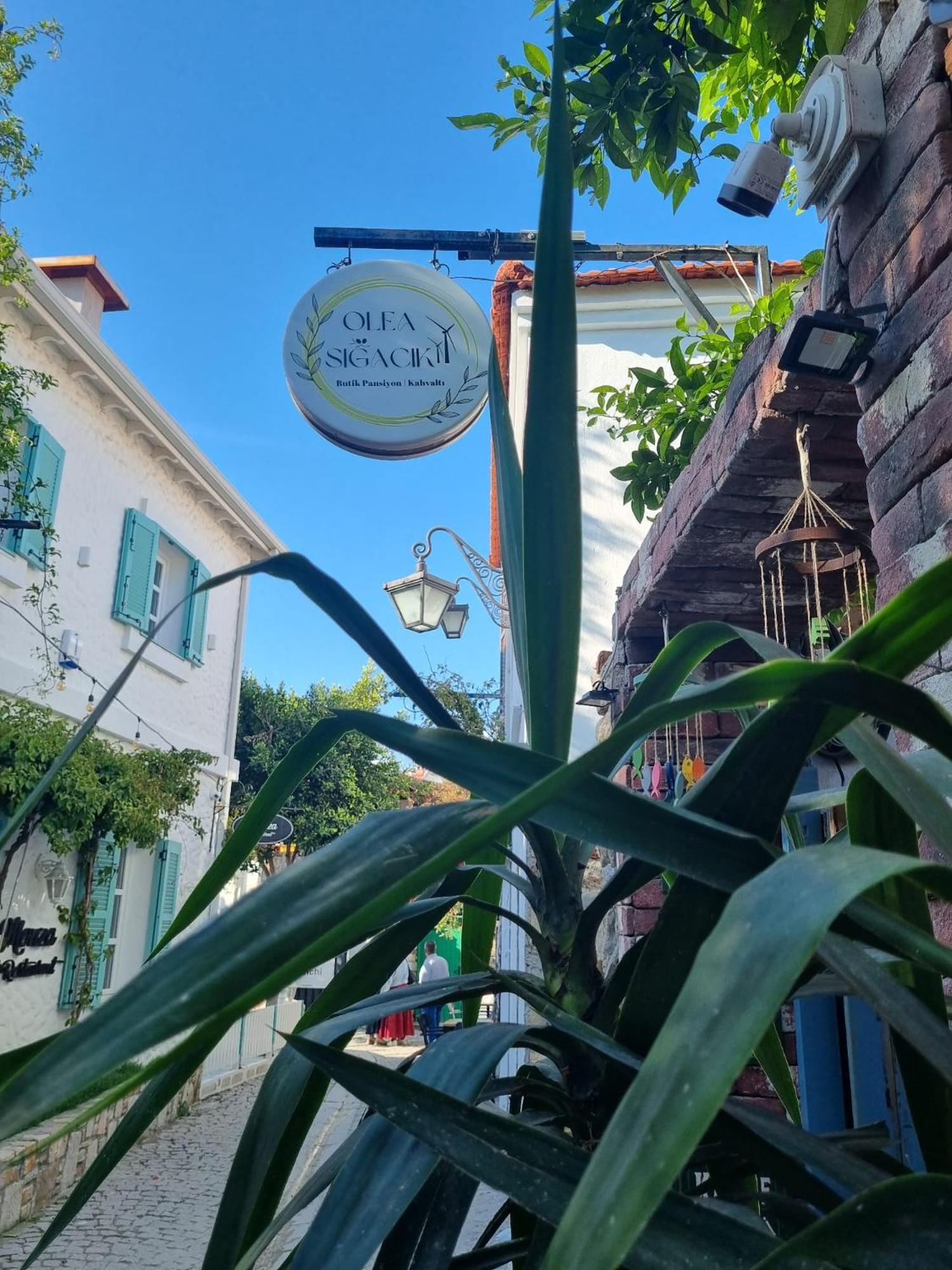 Olea Sigacik Pansiyon & Bistro Seferihisar Bagian luar foto