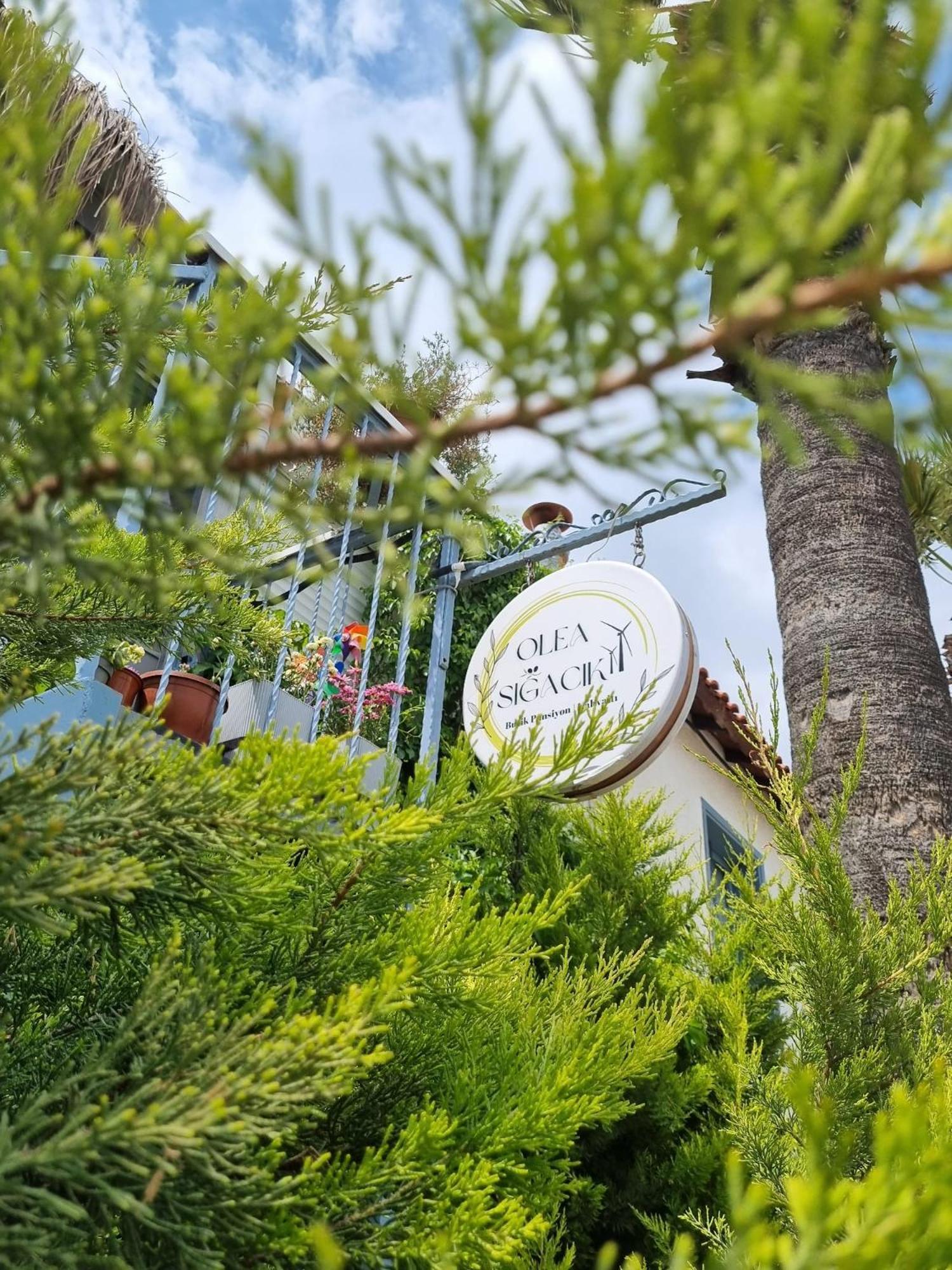 Olea Sigacik Pansiyon & Bistro Seferihisar Bagian luar foto